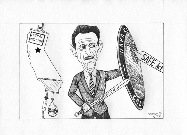 Editorial Cartoon: SAFE Act
